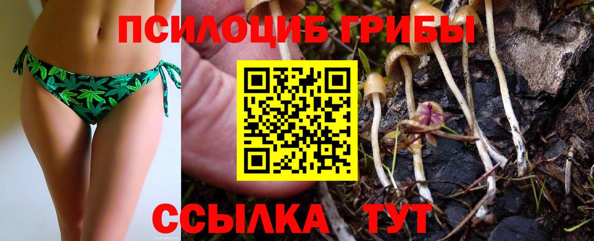 Галлюциногенные грибы мицелий Полысаево